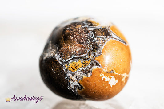 Conglomerate Jasper- Tumbled