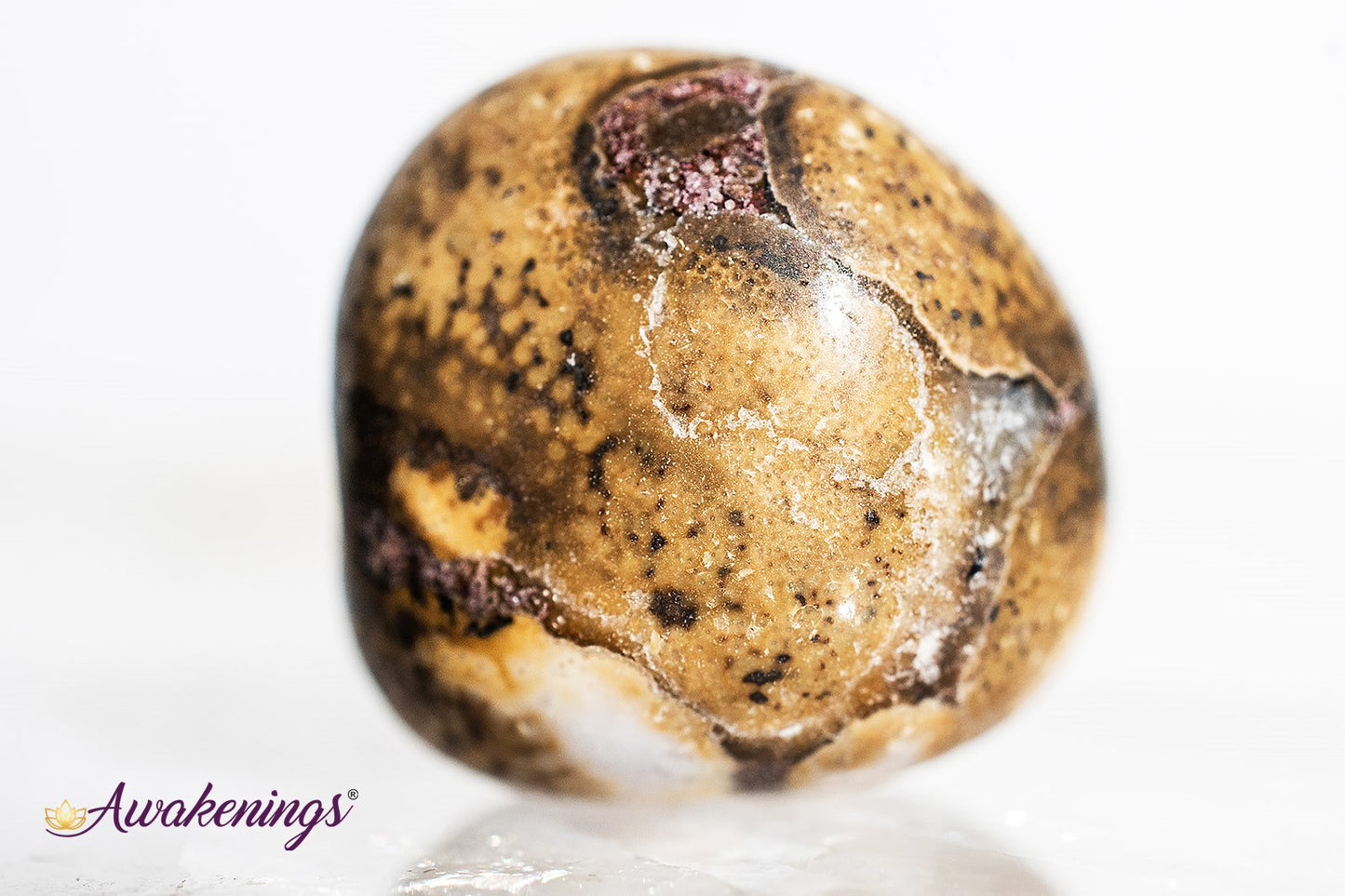 Conglomerate Jasper- Tumbled
