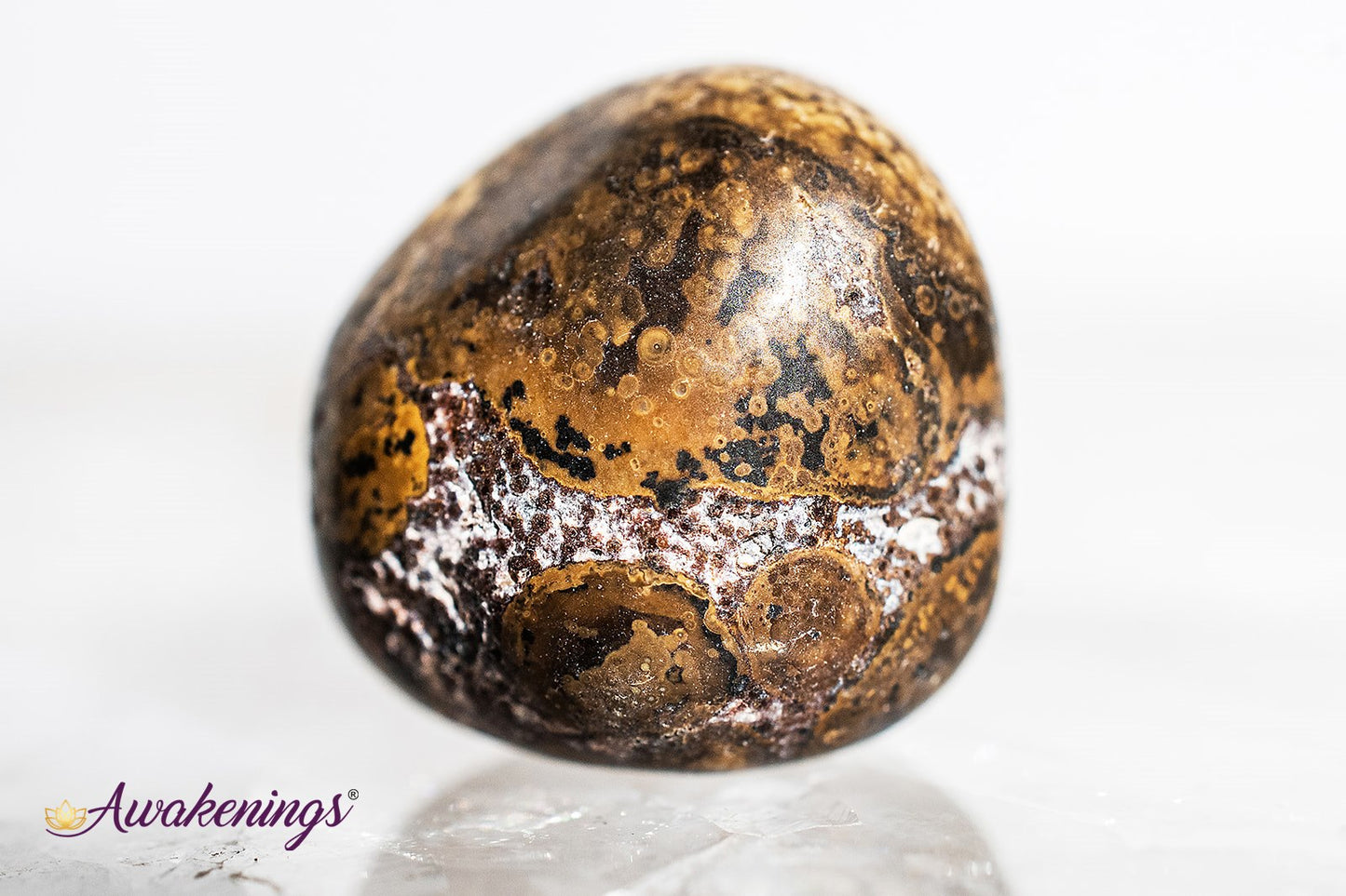 Conglomerate Jasper- Tumbled