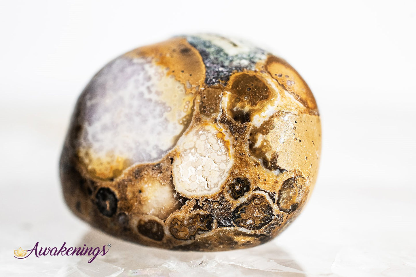 Conglomerate Jasper- Tumbled