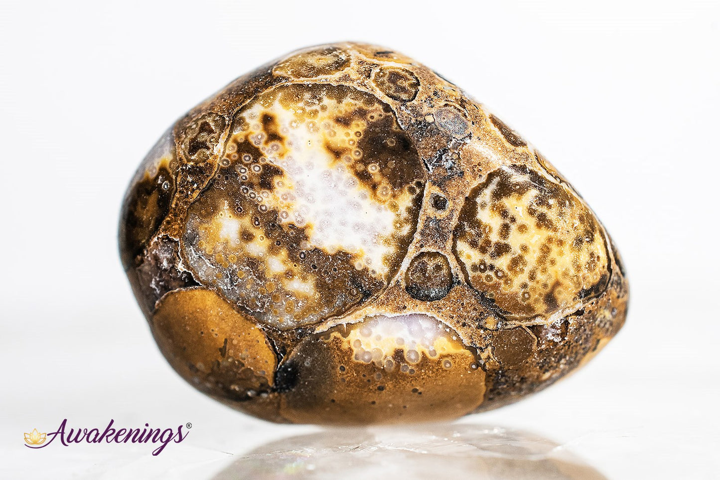 Conglomerate Jasper- Tumbled