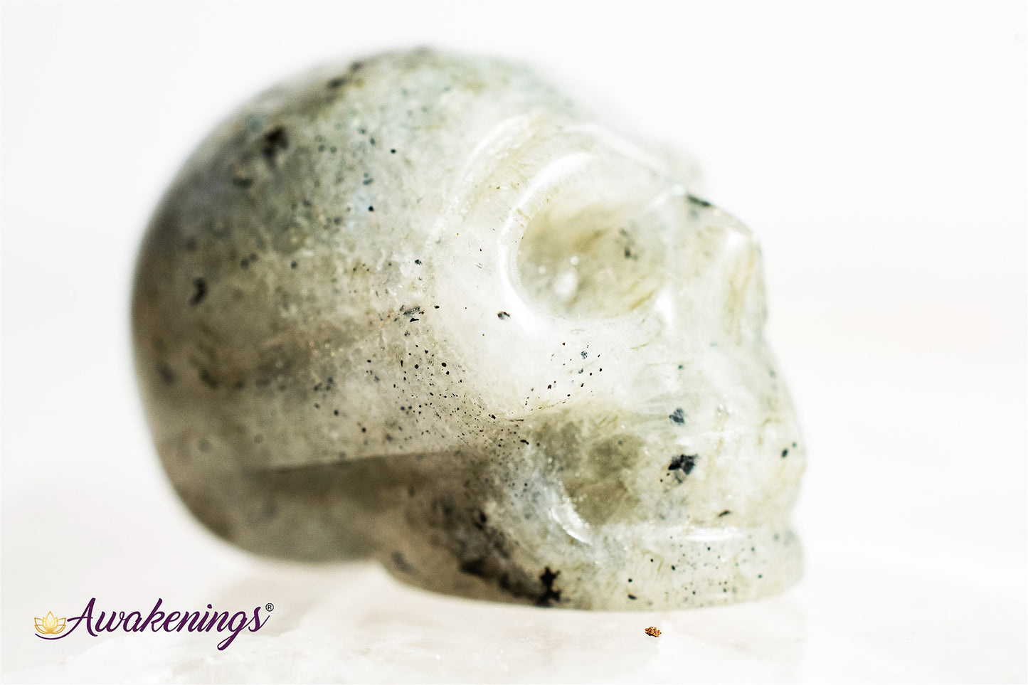 Labradorite Skull- Mini