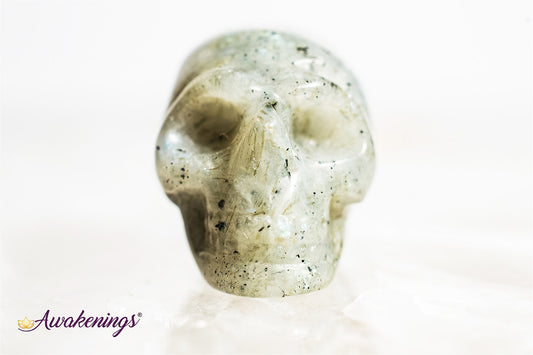 Labradorite Skull- Mini