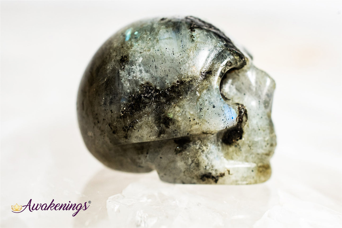 Labradorite Skull- Mini