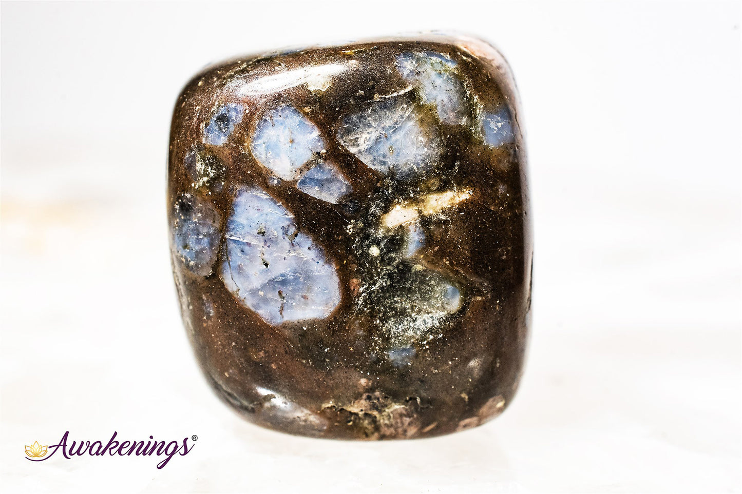 Quesera/Llanite Blue Opal - Tumbled Large