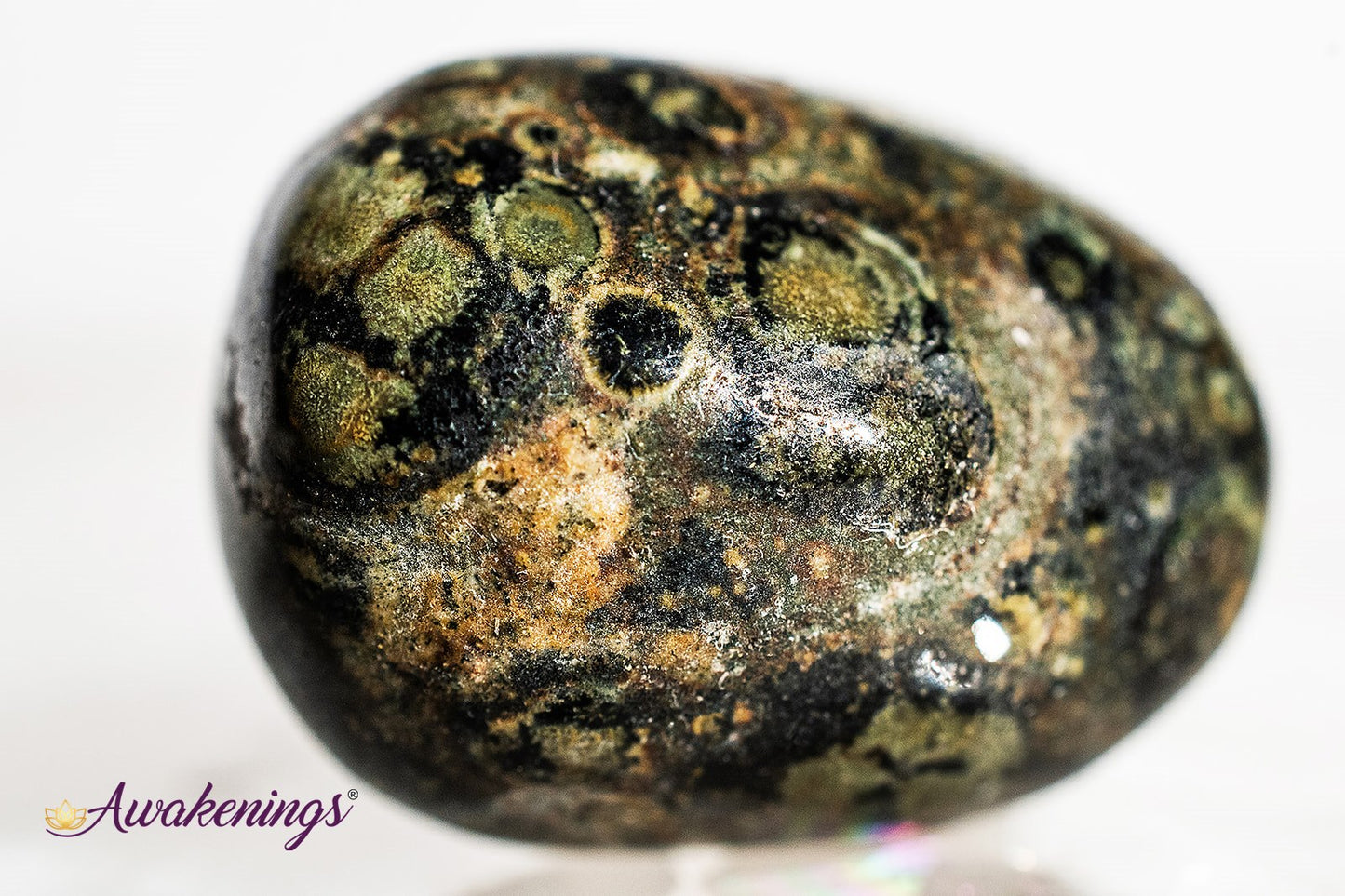 Crocodile Jasper - Tumbled