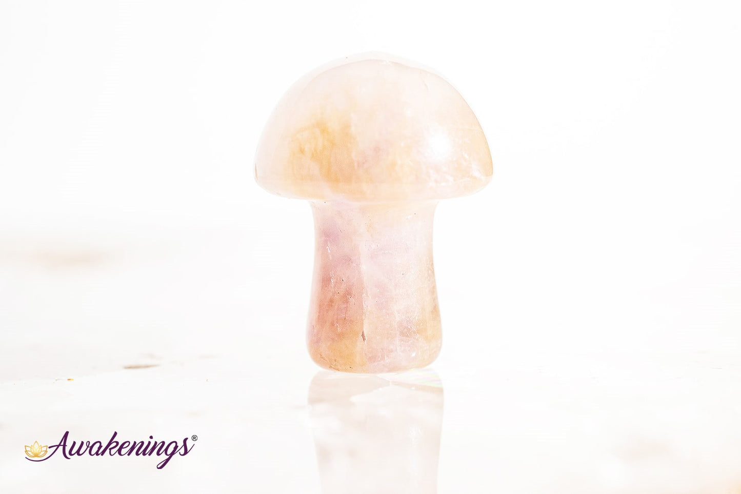 Amethyst Mushroom- Mini