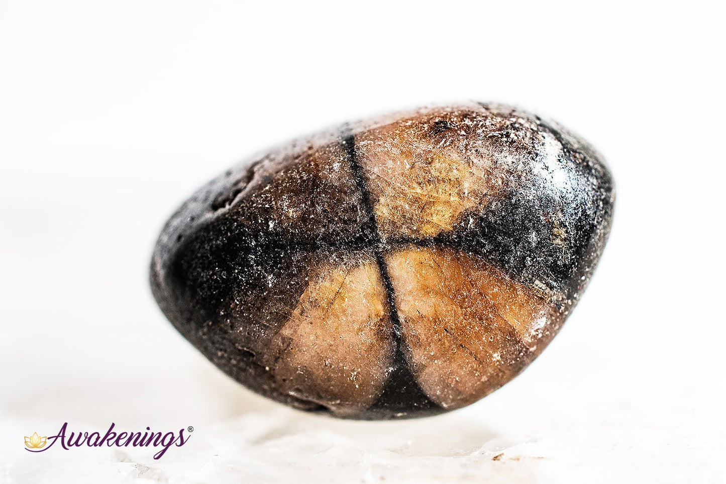 Chiastolite - Tumbled