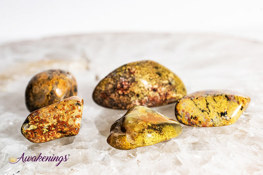 Golden Fire Chalcedony - Tumbled