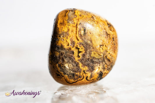 Golden Fire Chalcedony - Tumbled