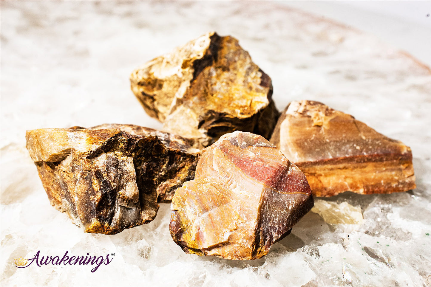 Petrified Wood - Rough Raw Natural