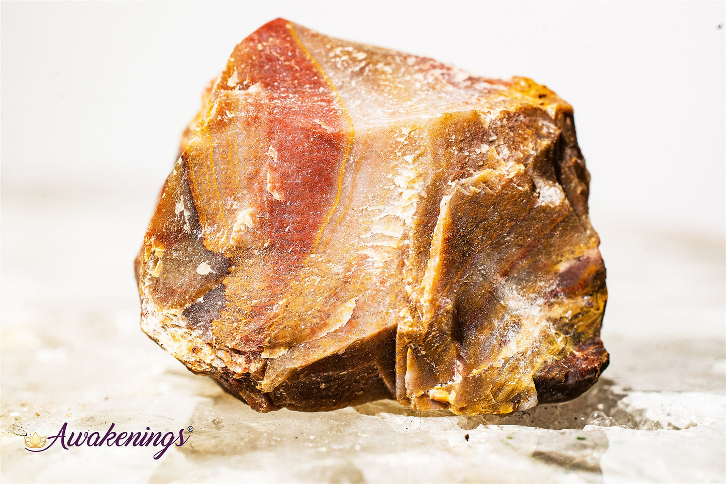 Petrified Wood - Rough Raw Natural