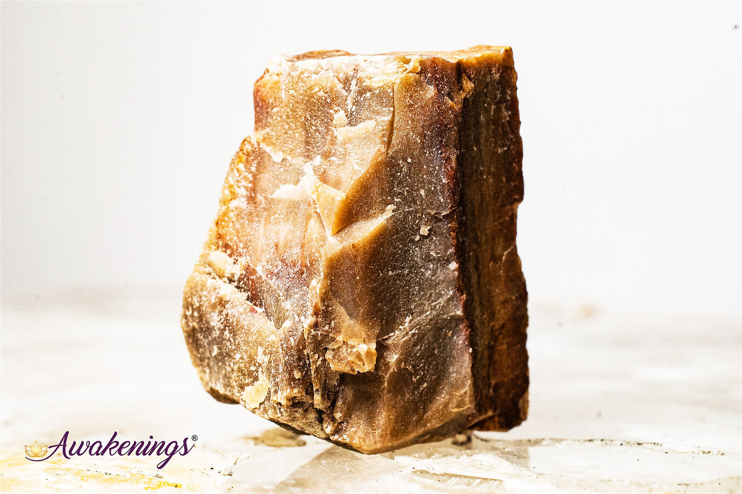 Petrified Wood - Rough Raw Natural