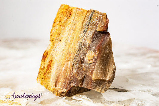 Petrified Wood - Rough Raw Natural