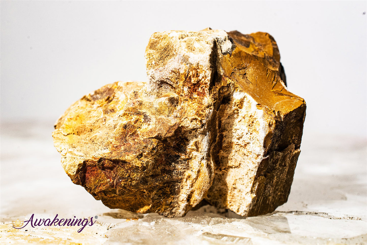 Petrified Wood - Rough Raw Natural