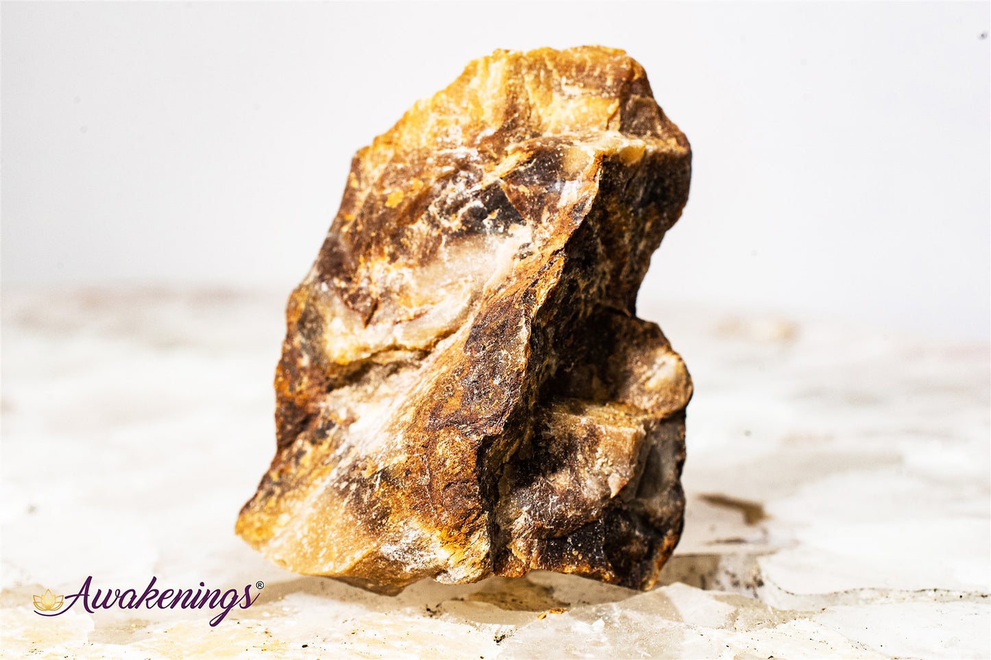 Petrified Wood - Rough Raw Natural