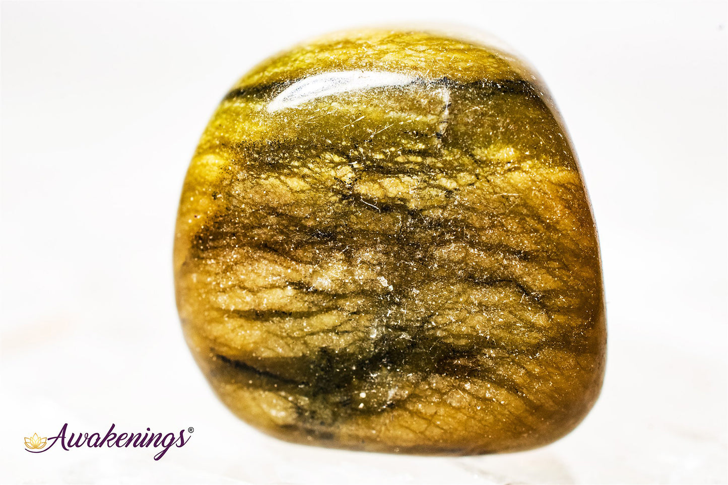 Green Serpentine - Tumbled