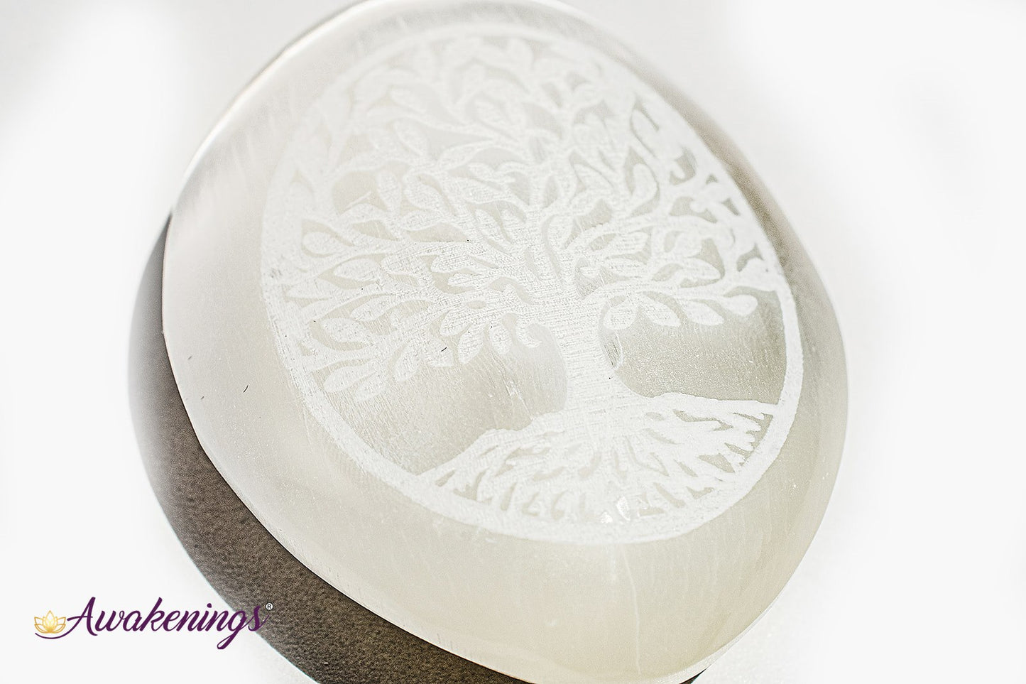 Selenite/Satin Spar Tree of Life Engraved Palm/Pillow/Pocket Stone - 1.5"