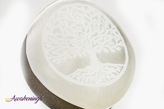 Selenite/Satin Spar Tree of Life Engraved Palm/Pillow/Pocket Stone - 1.5"