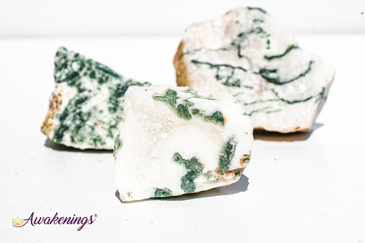 Tree Agate - Rough Raw Natural
