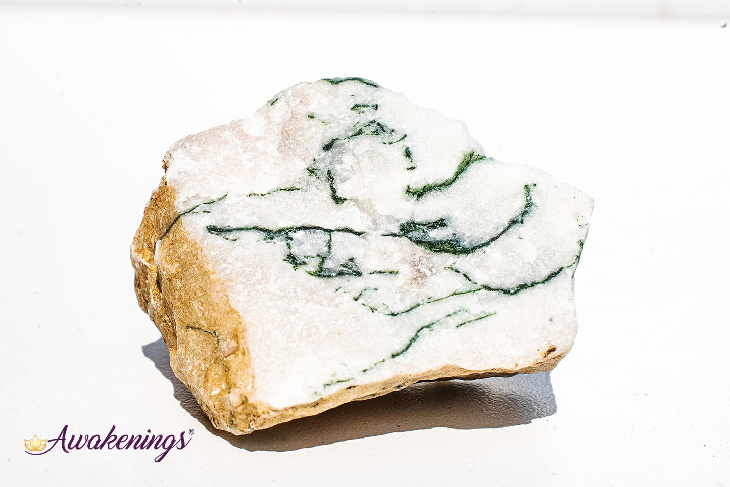 Tree Agate - Rough Raw Natural
