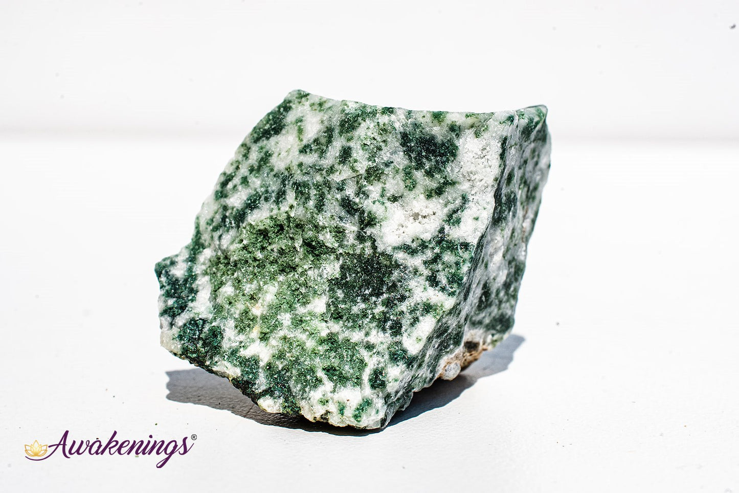 Tree Agate - Rough Raw Natural