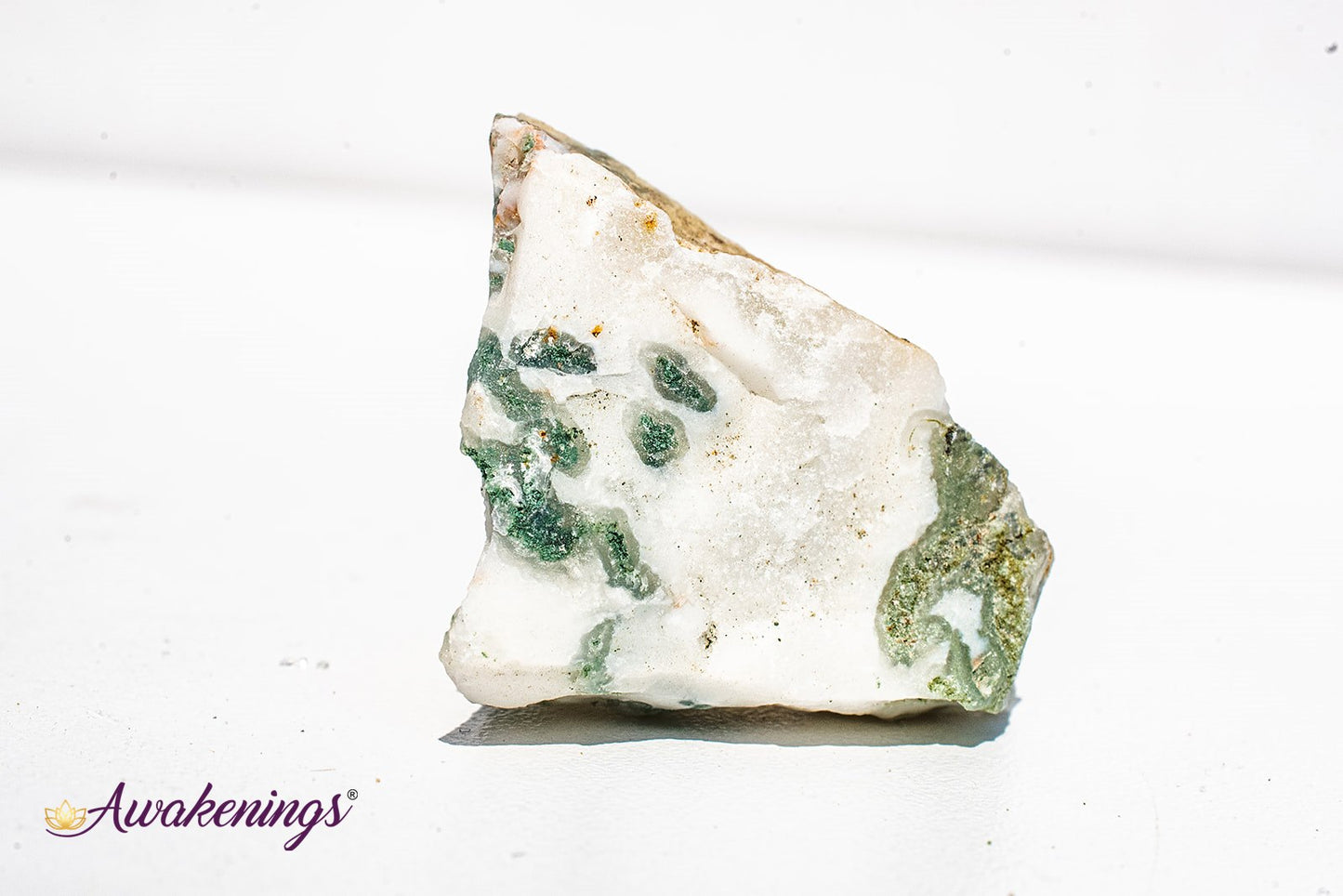 Tree Agate - Rough Raw Natural