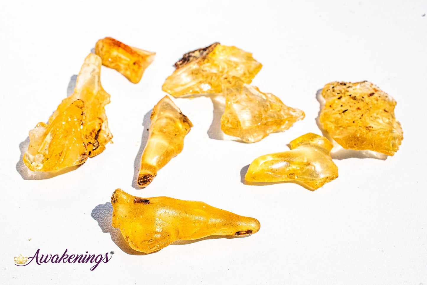 Copal Amber - Tumbled