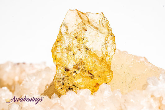 Copal Amber - Tumbled