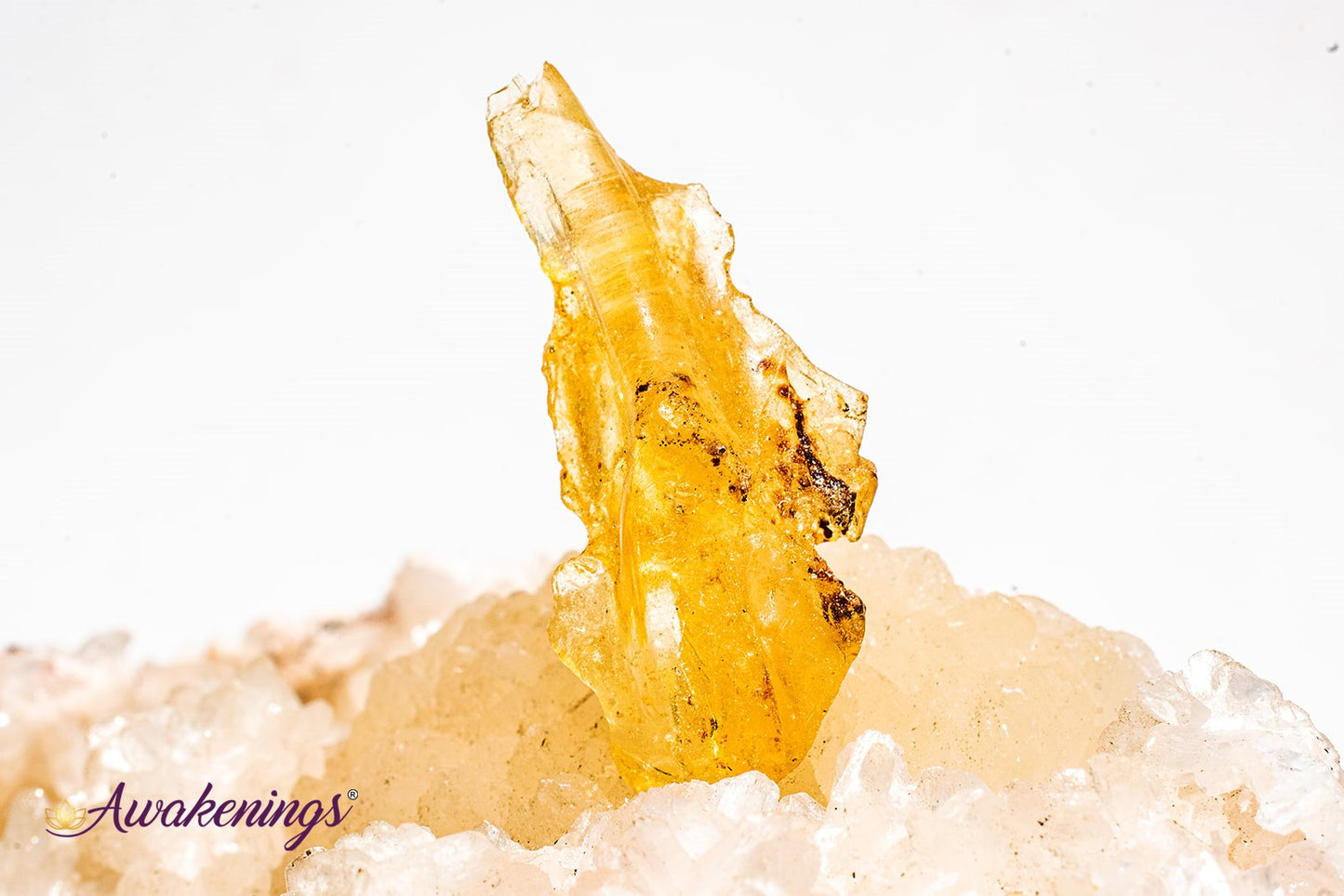 Copal Amber - Tumbled
