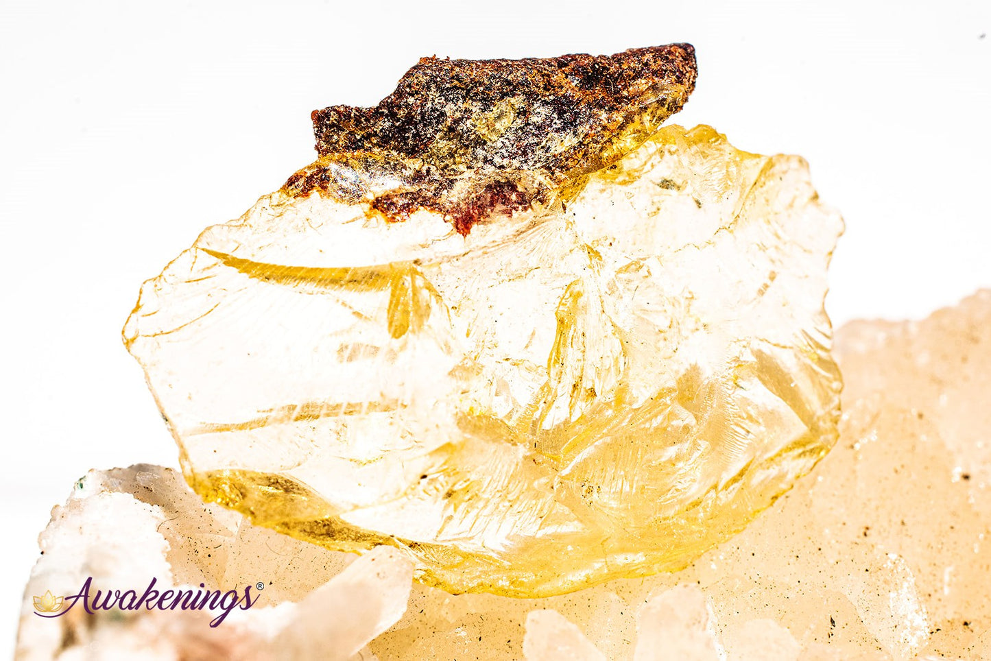 Copal Amber - Tumbled