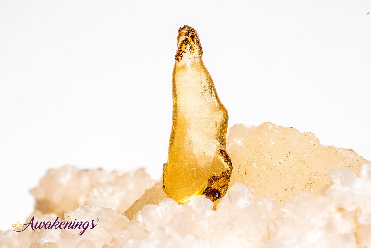 Copal Amber - Tumbled