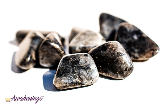 Black Labradorite (Larvakite) - Tumbled Chips