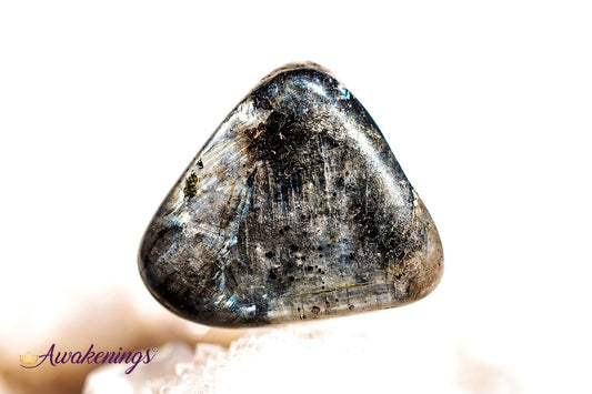 Black Labradorite (Larvakite) - Tumbled Chips
