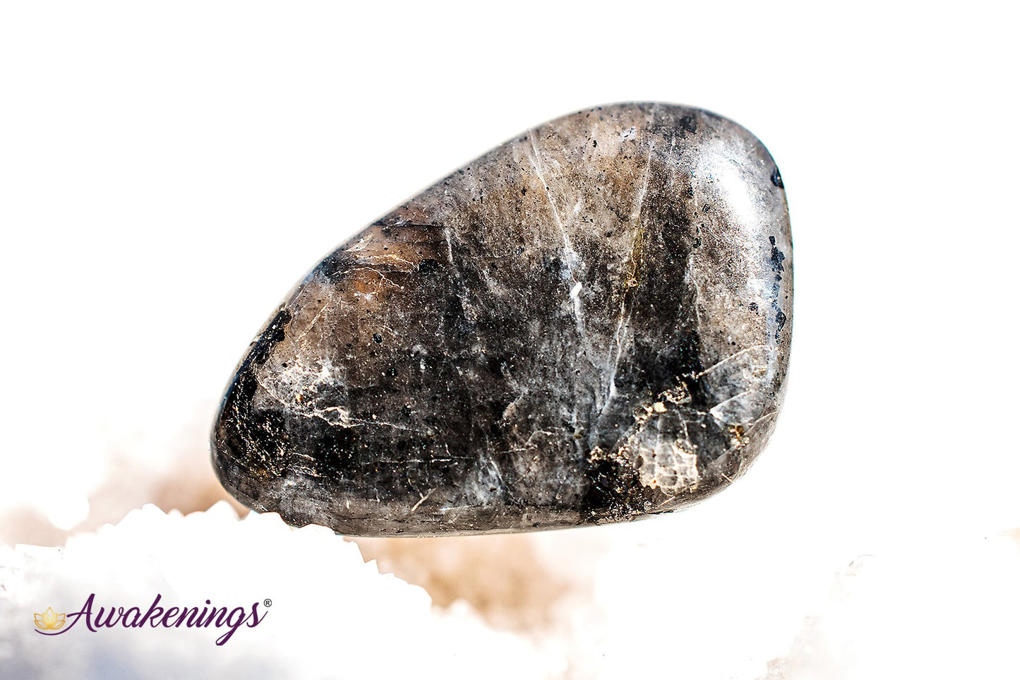 Black Labradorite (Larvakite) - Tumbled Chips