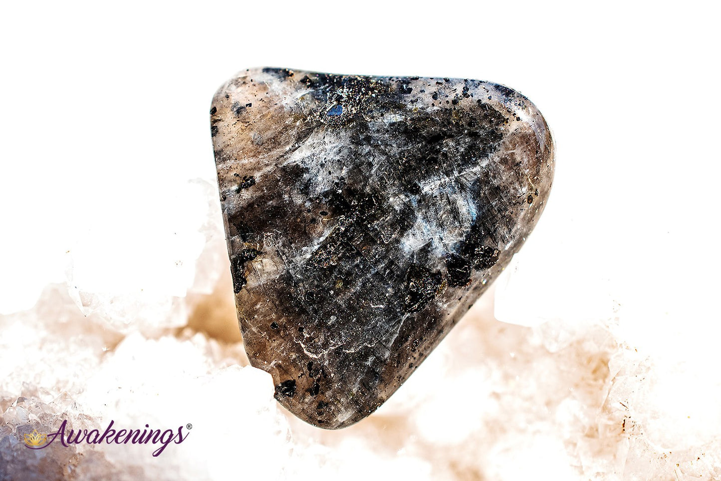 Black Labradorite (Larvakite) - Tumbled Chips